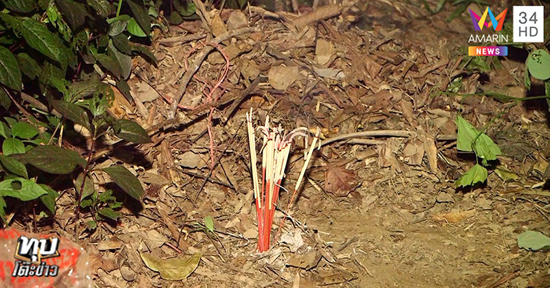 น้องชมพู่ น้องชมพู่