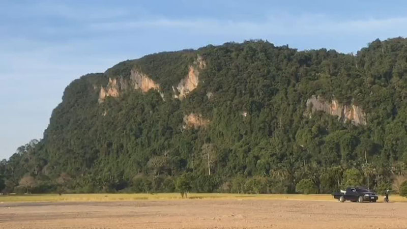 กรมศิลปากร กรมศิลปากร