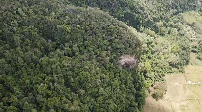 ภาพเขียนสีเขายะลา ภาพเขียนสีเขายะลา