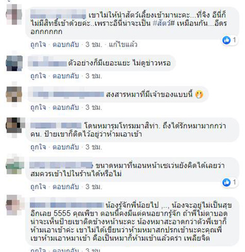 หญิงอุ้มหมาเข้าเซเว่น หญิงอุ้มหมาเข้าเซเว่น