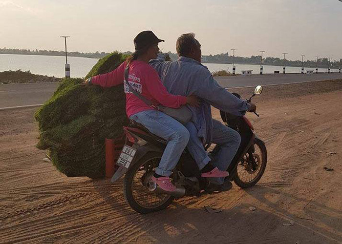 ฟื้นฟูแก่งเลิงจาน ฟื้นฟูแก่งเลิงจาน