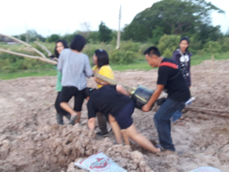 ฟื้นฟูแก่งเลิงจาน ฟื้นฟูแก่งเลิงจาน