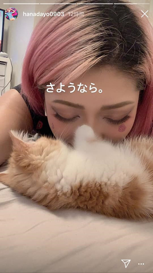 ฮานะ คิมูระ ฮานะ คิมูระ