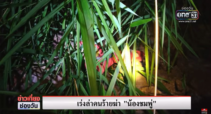 ข่าวน้องชมพู่ ข่าวน้องชมพู่