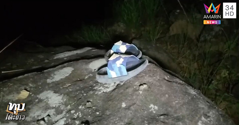 ข่าวน้องชมพู่ ข่าวน้องชมพู่