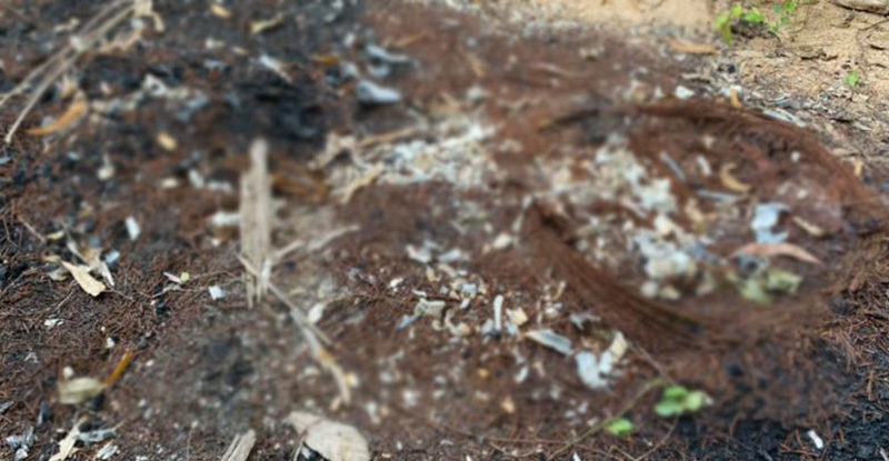 ภาพข่าวศพถูกเผานั่งยาง ภาพข่าวศพถูกเผานั่งยาง