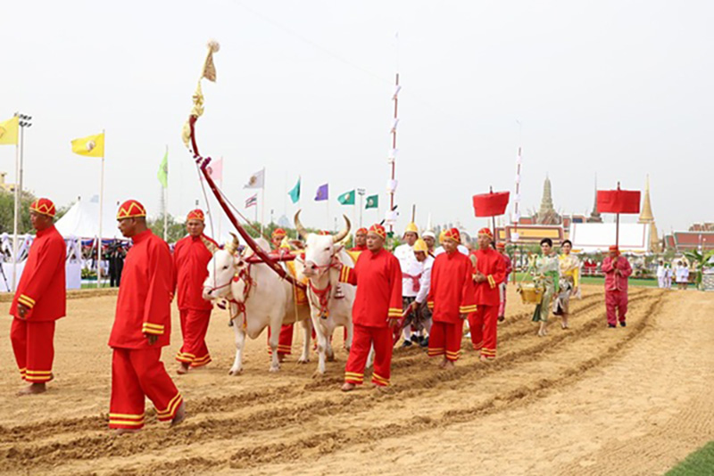 พระราชพิธี พระราชพิธี