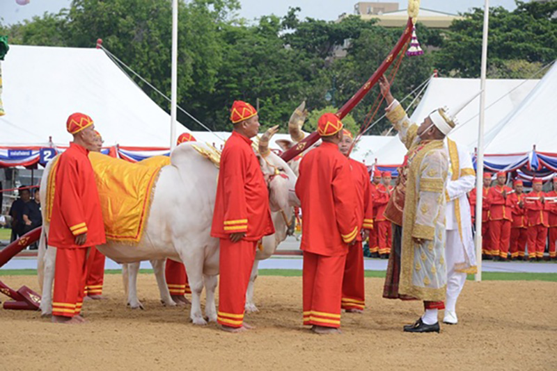 พระราชพิธี พระราชพิธี