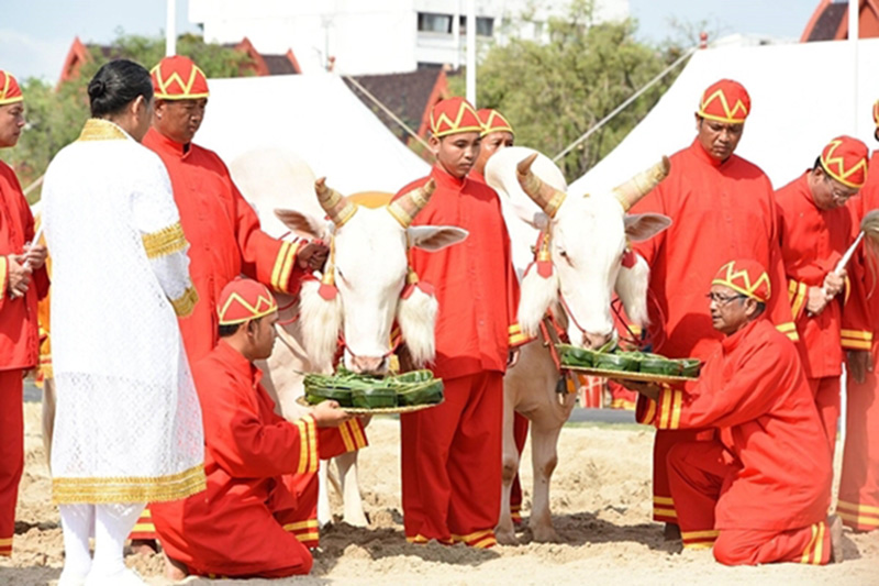 พระราชพิธี พระราชพิธี