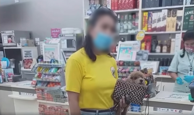 ป้าอุ้มหมา ป้าอุ้มหมา