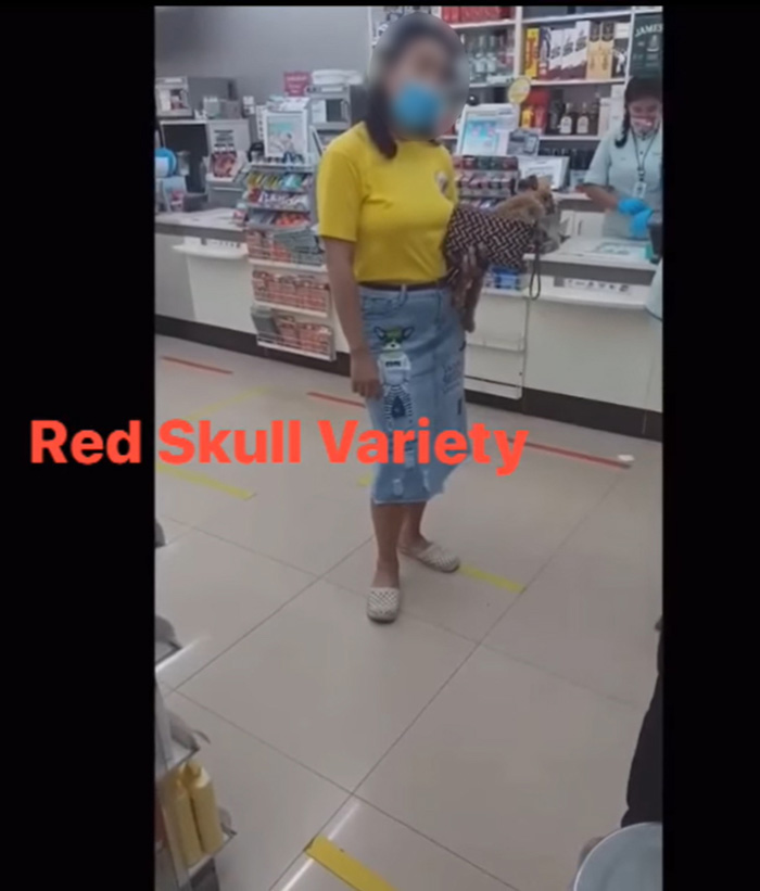 ป้าอุ้มหมา ป้าอุ้มหมา