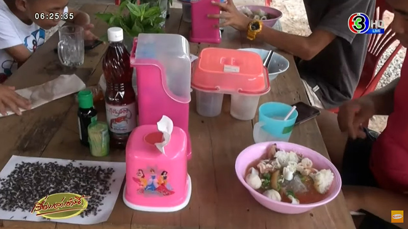 แมลงวัน แมลงวัน