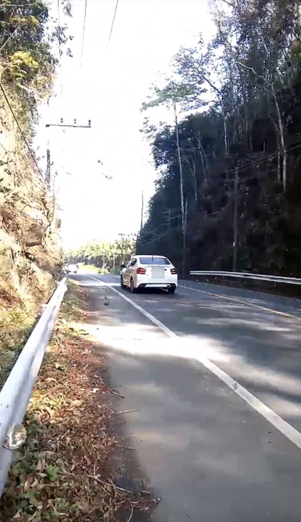 ลิงเขาติง ลิงเขาติง