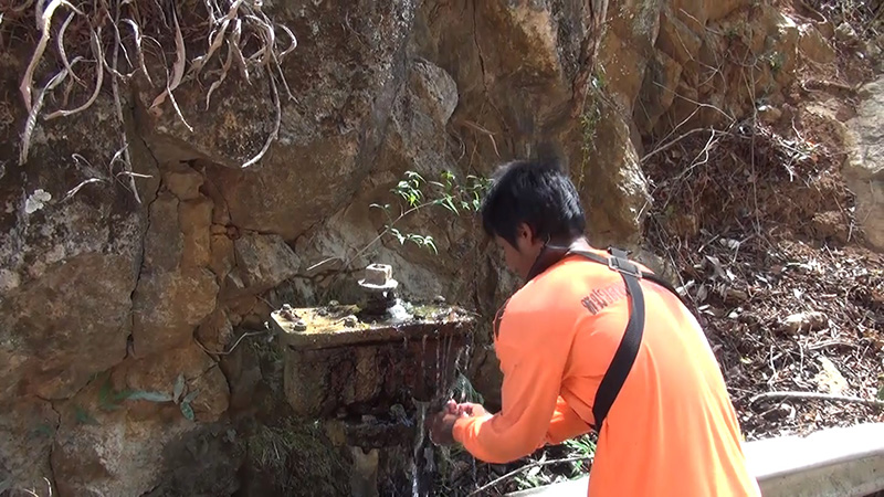 ลิงเขาติง ลิงเขาติง