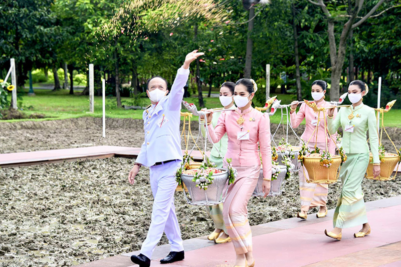 พิธีหว่านเมล็ดพันธุ์ข้าว พิธีหว่านเมล็ดพันธุ์ข้าว