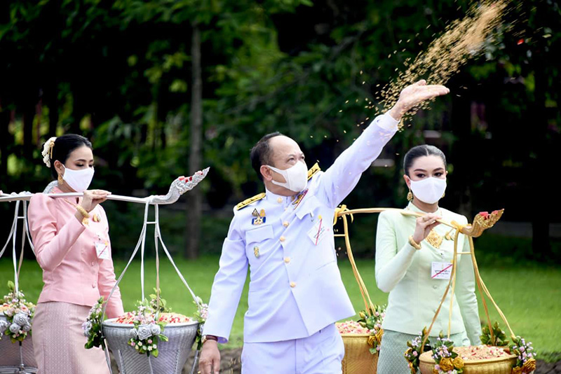 พิธีหว่านเมล็ดพันธุ์ข้าว พิธีหว่านเมล็ดพันธุ์ข้าว