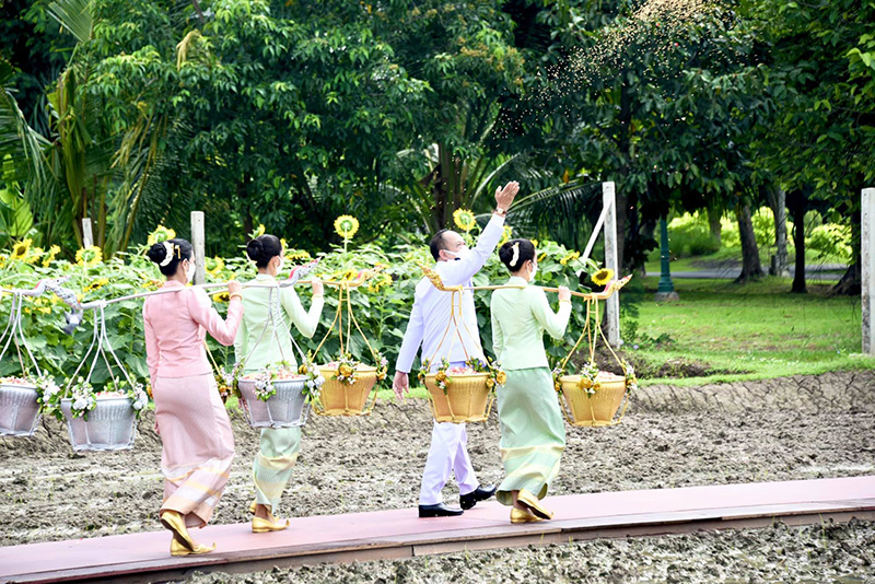 พิธีหว่านเมล็ดพันธุ์ข้าว พิธีหว่านเมล็ดพันธุ์ข้าว