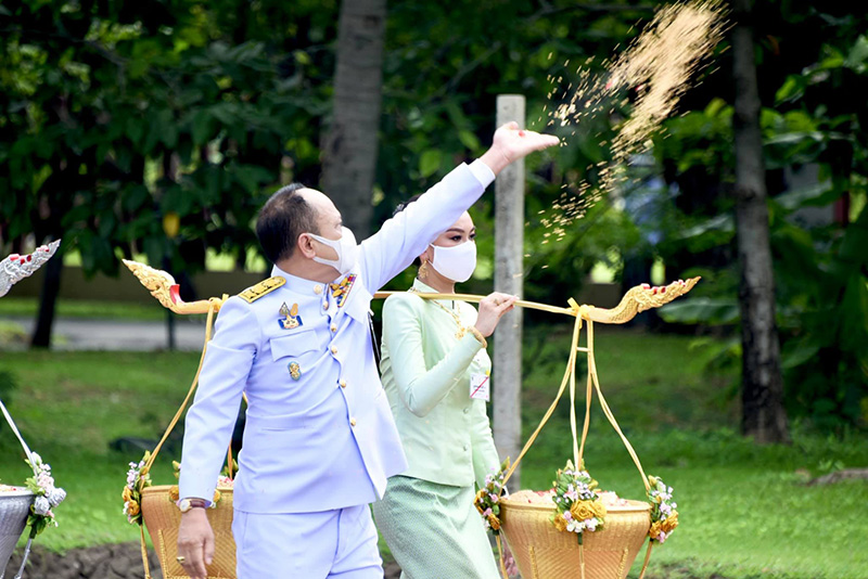พิธีหว่านเมล็ดพันธุ์ข้าว พิธีหว่านเมล็ดพันธุ์ข้าว