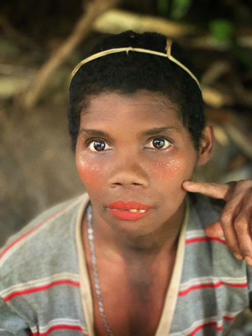 แพรี่พาย แพรี่พาย