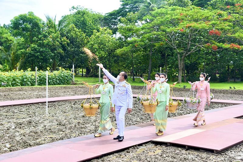 พิธีหว่านเมล็ดพันธุ์ข้าว พิธีหว่านเมล็ดพันธุ์ข้าว