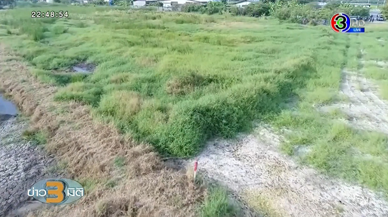 ที่ดิน ที่ดิน