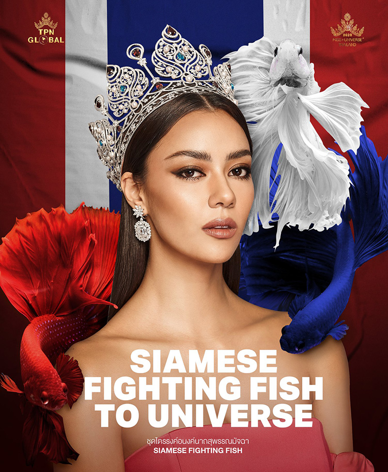 ดราม่าชุดประจำชาติ ดราม่าชุดประจำชาติ