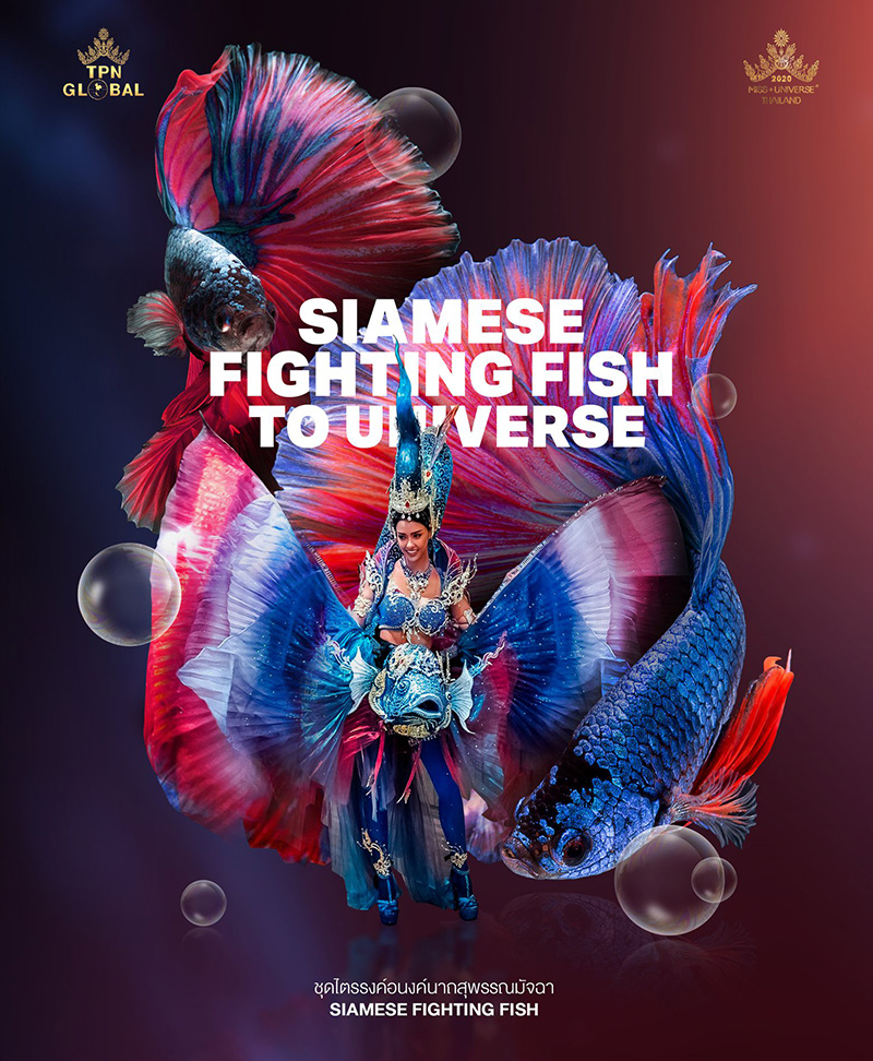 ดราม่าชุดประจำชาติ ดราม่าชุดประจำชาติ