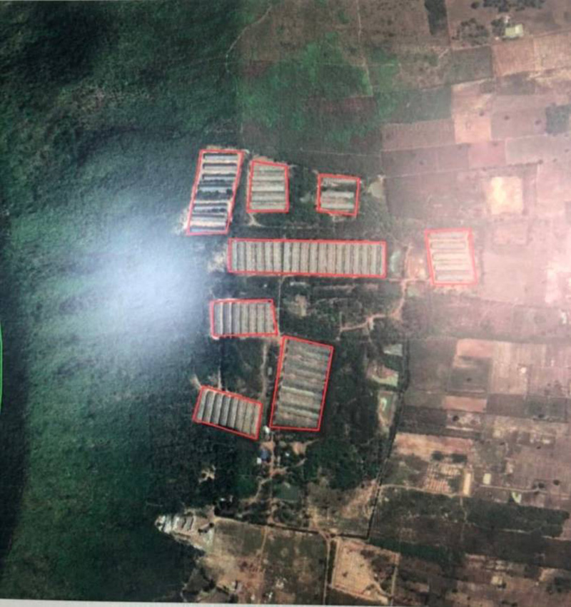 เอ๋ ปารีณา เอ๋ ปารีณา