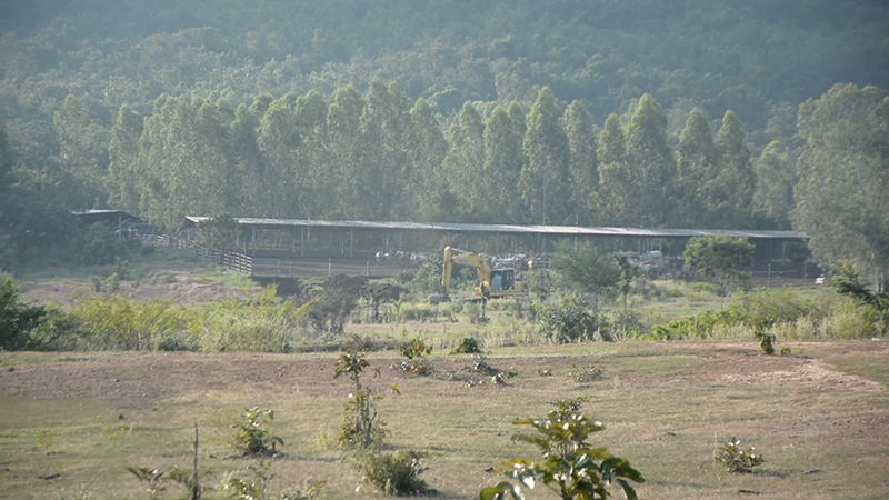 เอ๋ ปารีณา เอ๋ ปารีณา