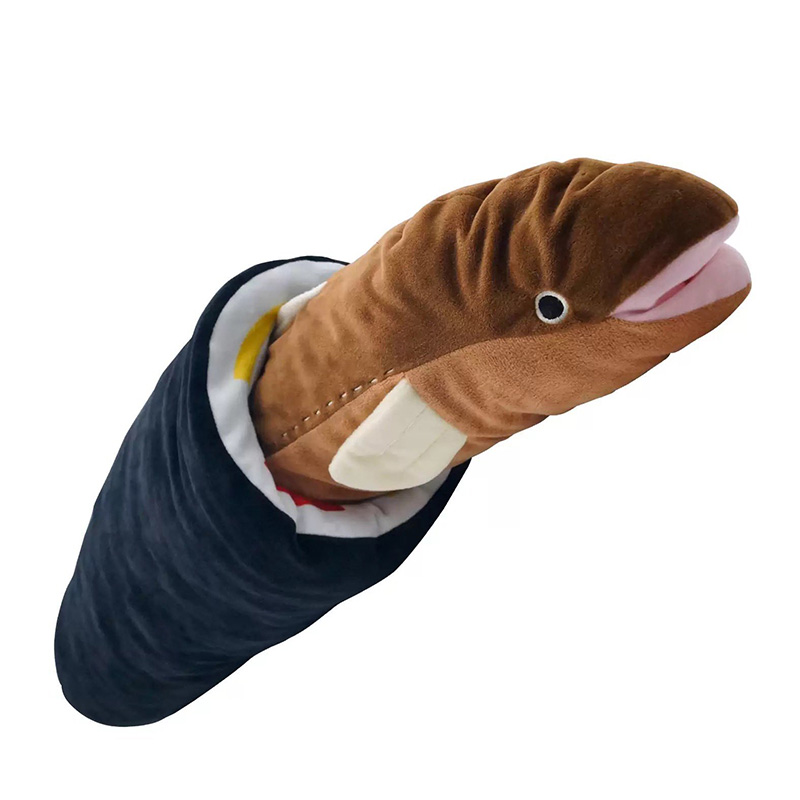 ซูชิโรล น้องปลาไหล ซูชิโรล น้องปลาไหล