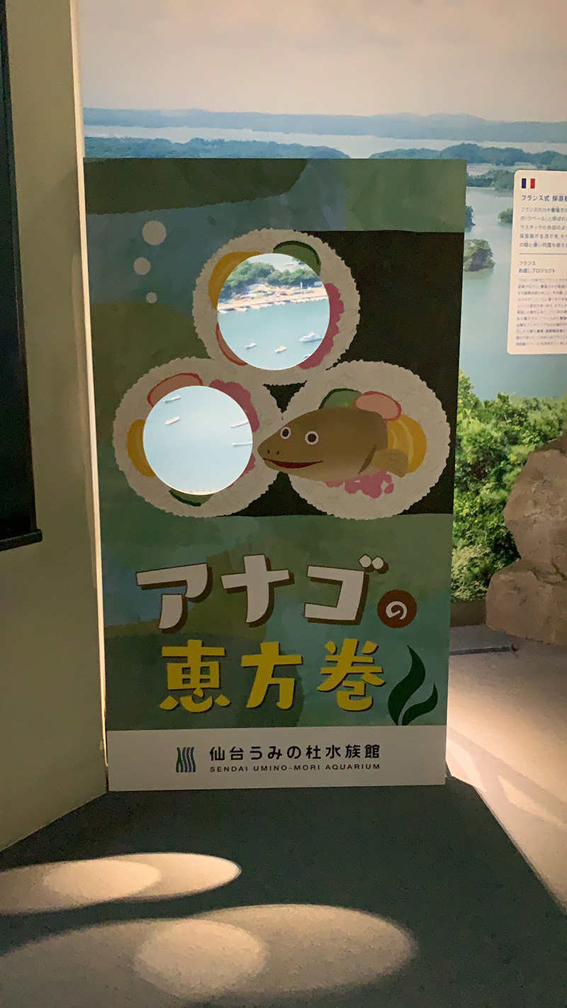 ซูชิโรล น้องปลาไหล ซูชิโรล น้องปลาไหล