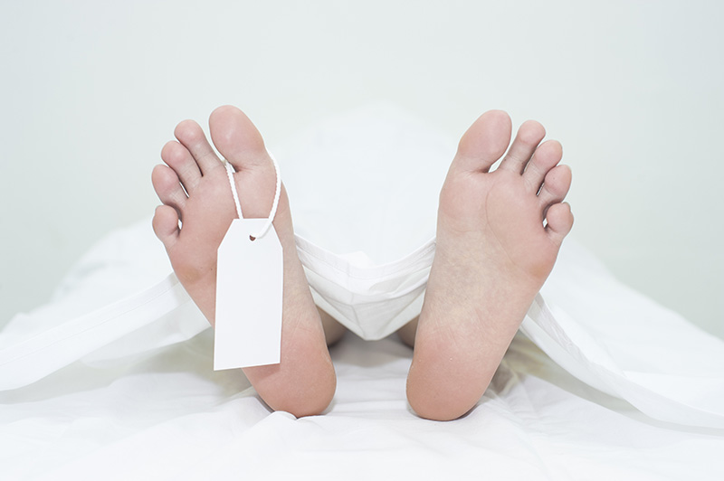 ปลิดชีวิตตัวเอง ปลิดชีวิตตัวเอง