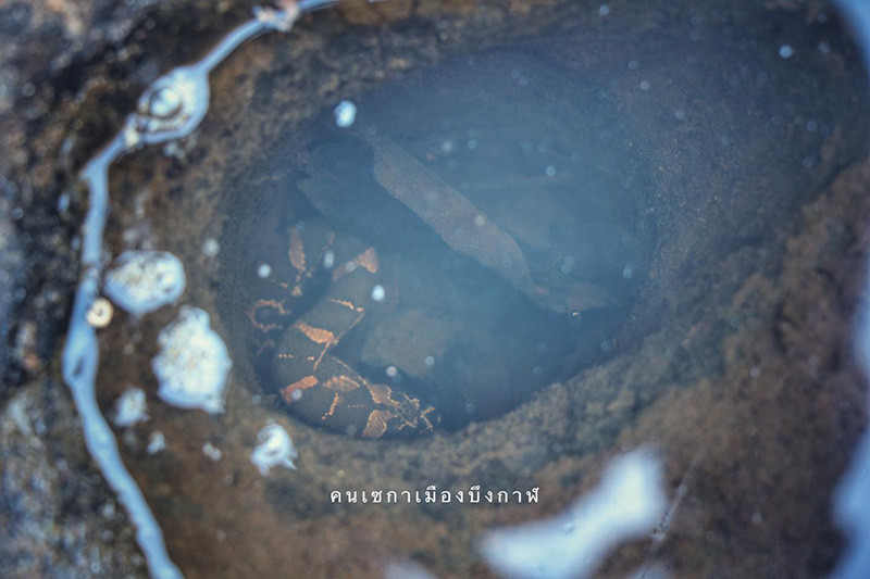 หินพญานาคเล่นน้ำในช่องหุบเขา หินพญานาคเล่นน้ำในช่องหุบเขา