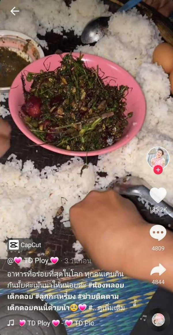 ผัดเผ็ดแมงมุม ผัดเผ็ดแมงมุม