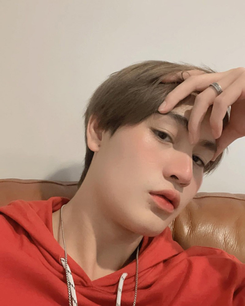 ทอยทอย ทอยทอย