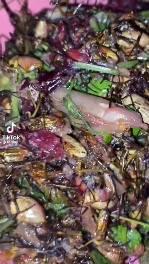 ผัดเผ็ดแมงมุม ผัดเผ็ดแมงมุม