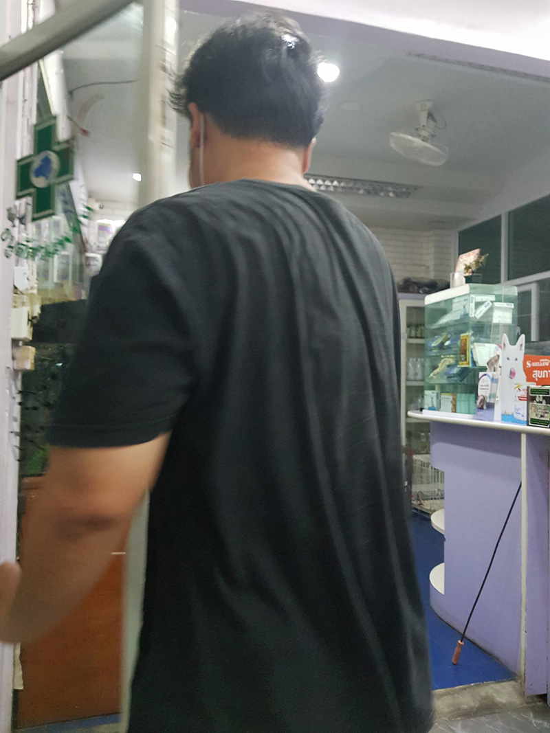 หนุ่มใจบุญเห็นน้องแมลงสาบโดนเหยียบอาการสาหัส หนุ่มใจบุญเห็นน้องแมลงสาบโดนเหยียบอาการสาหัส