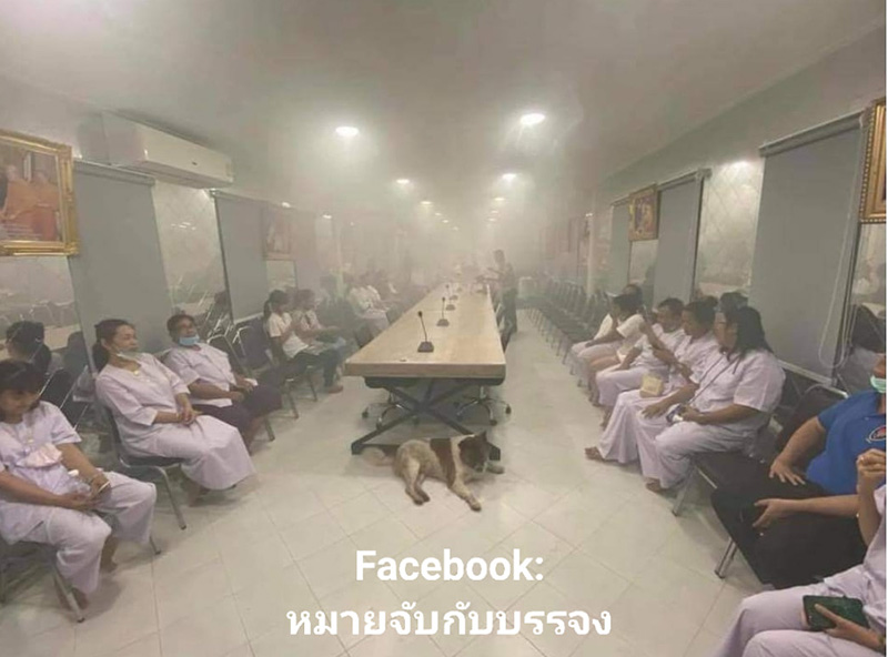 วัดดังเมืองแปดริ้วเผยภาพพิธีรมควัน วัดดังเมืองแปดริ้วเผยภาพพิธีรมควัน