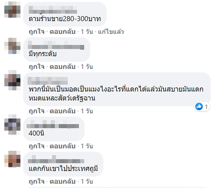 คอมเมนต์ คอมเมนต์