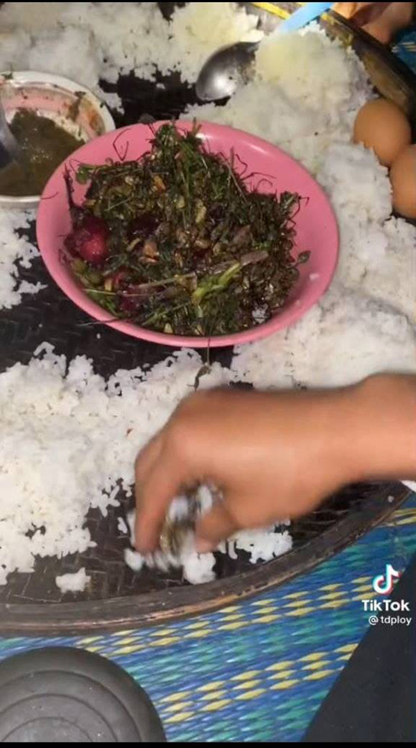 ผัดเผ็ดแมงมุม ผัดเผ็ดแมงมุม