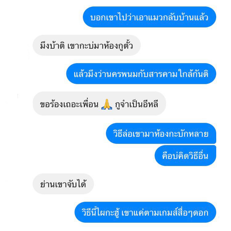 แชต แชต