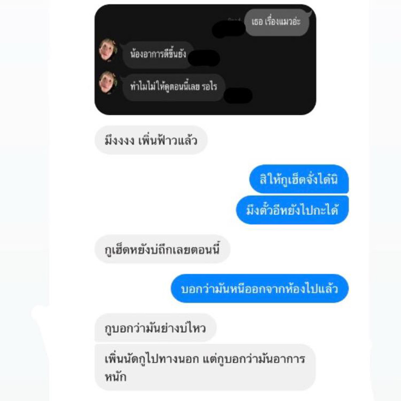 แชต แชต