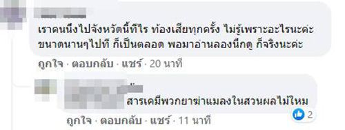 คอมเมนต์ คอมเมนต์