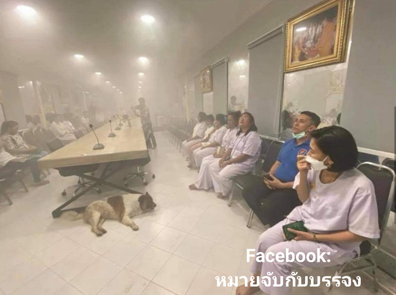 วัดดังเมืองแปดริ้วเผยภาพพิธีรมควัน วัดดังเมืองแปดริ้วเผยภาพพิธีรมควัน