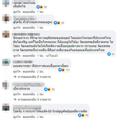 คอมเมนต์ คอมเมนต์