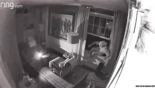 พ่อแก้เผ็ดลูกชาย หนีเที่ยวกลางดึก พ่อแก้เผ็ดลูกชาย หนีเที่ยวกลางดึก