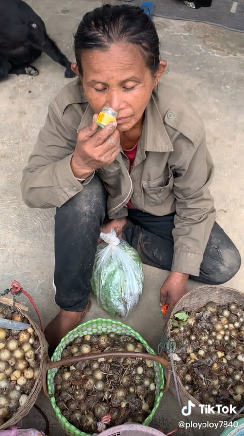 ยายแทบเป็นลม เข้าป่าเก็บเห็ด 10 กิโล ยายแทบเป็นลม เข้าป่าเก็บเห็ด 10 กิโล