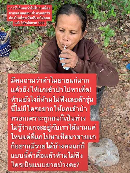 ยายแทบเป็นลม เข้าป่าเก็บเห็ด 10 กิโล ยายแทบเป็นลม เข้าป่าเก็บเห็ด 10 กิโล