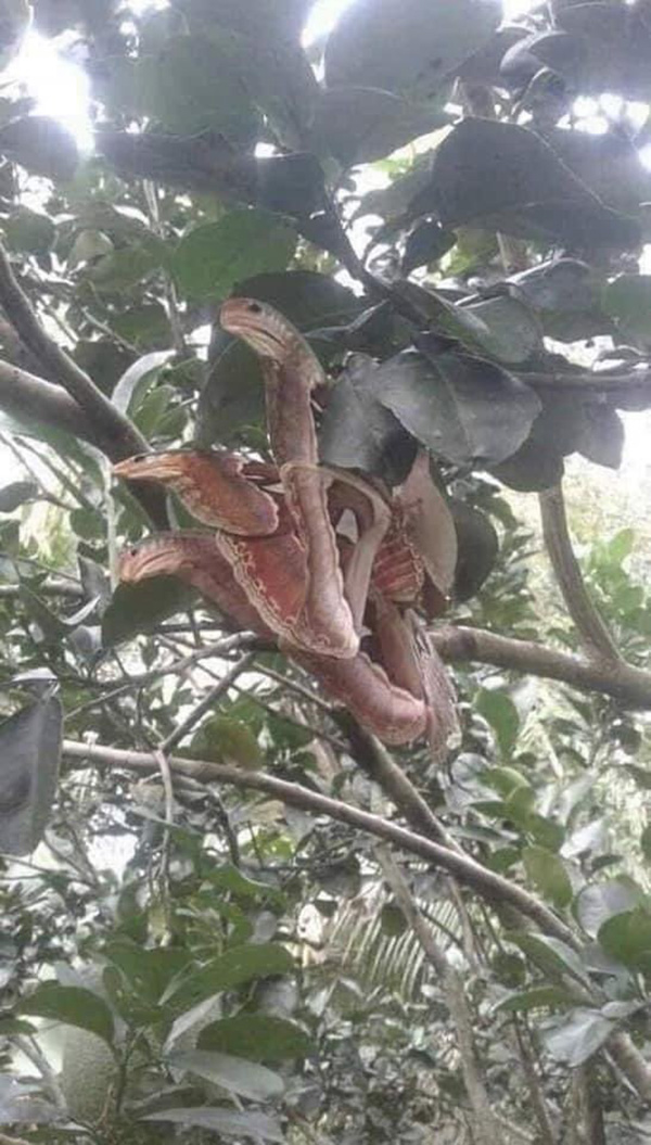 ภาพไวรัล ภาพไวรัล