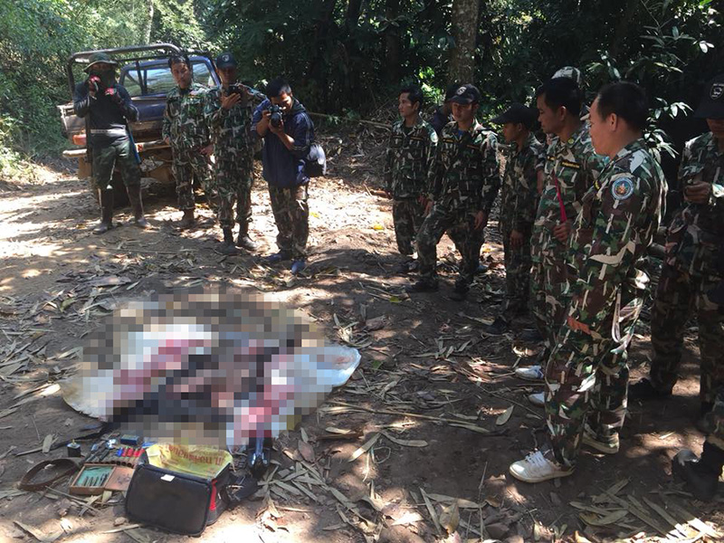 สรุปคดีเสือดำ ยิงลั่นป่าสุดหดหู่ เปรมชัย สรุปคดีเสือดำ ยิงลั่นป่าสุดหดหู่ เปรมชัย